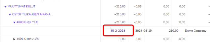 FI Raportit - Tuloslaskelma - Drilldown 200524