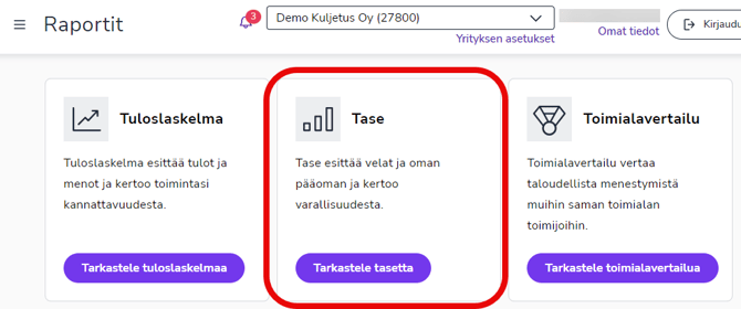 FI Raportit päänäkymä - Tase 050624