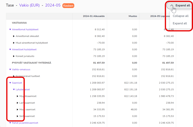 EN Reports - Balance sheet - Expand all 310524