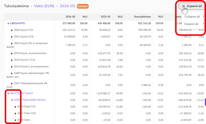 EN Reports - Income statement - Expand all 270524